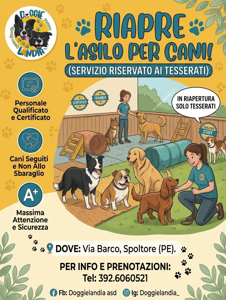 Asilo didattico diurno — Doggielandia