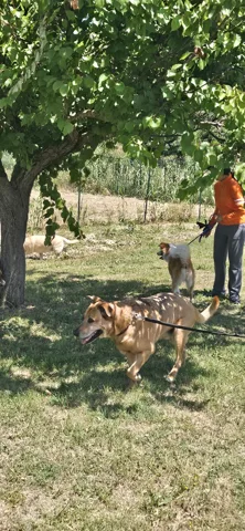 Asilo didattico diurno — momenti di gioco e socialità