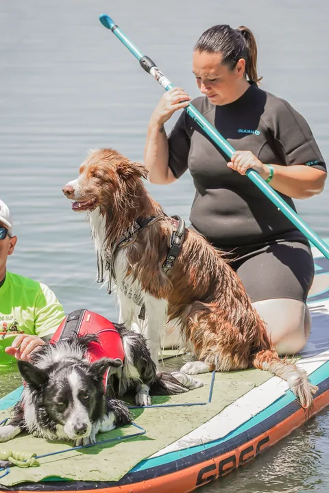 Dog SUP — momento 2