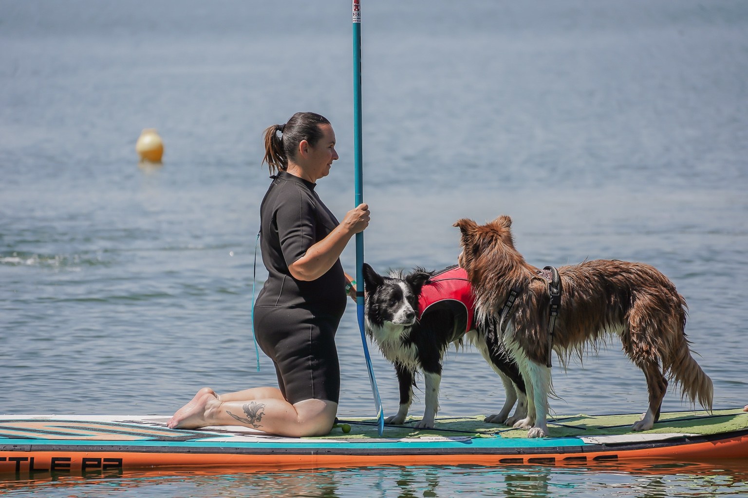 Francesca con due cani durante una lezione Dog SUP