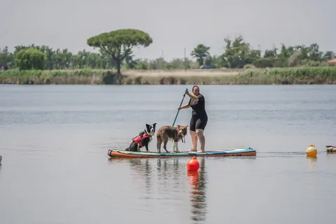 Dog SUP — momento 4
