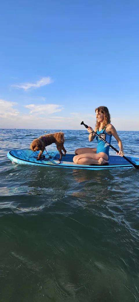 Dog SUP — momento 5