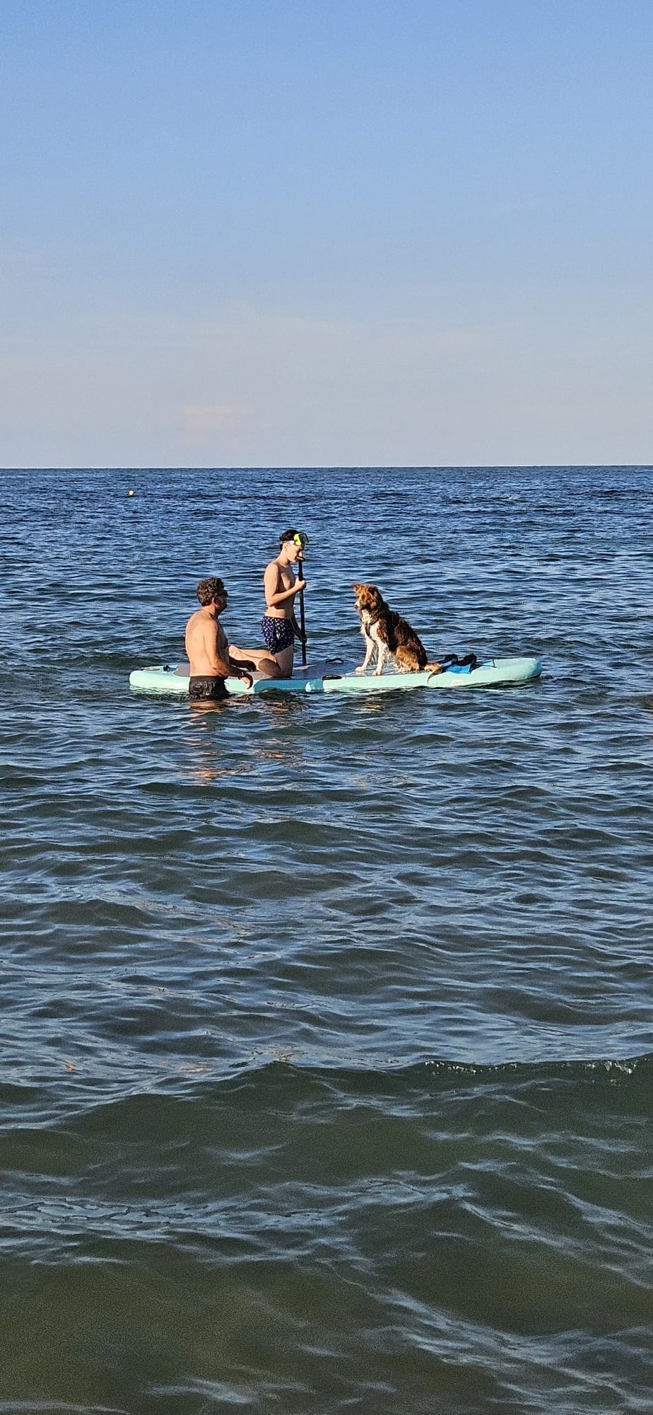 Momento di equilibrio condiviso durante un'uscita Dog SUP
