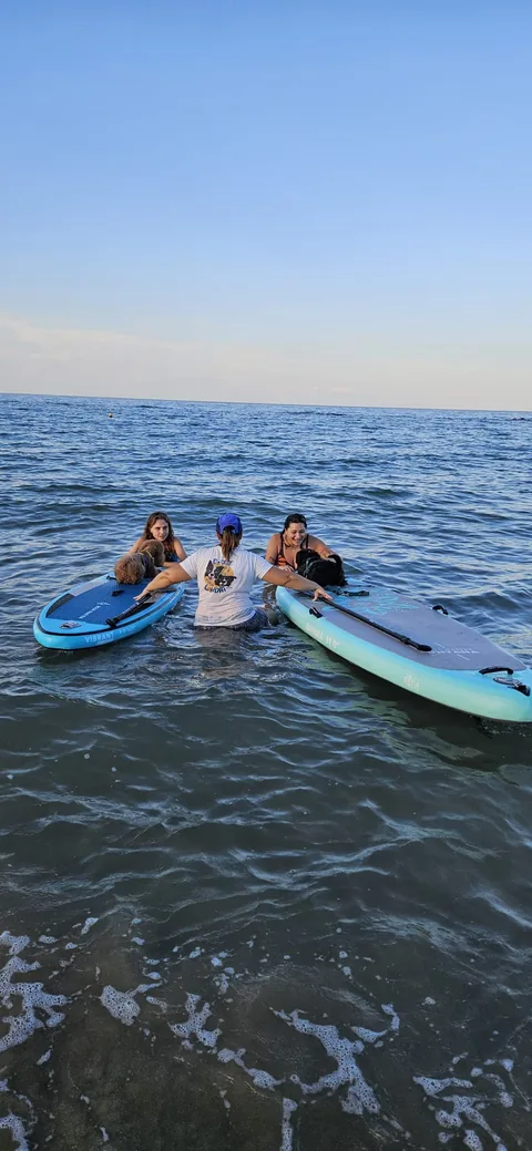 Dog SUP — momento 8