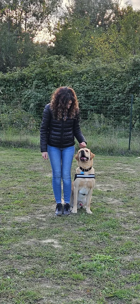 Educazione di base e avanzata — momento 4