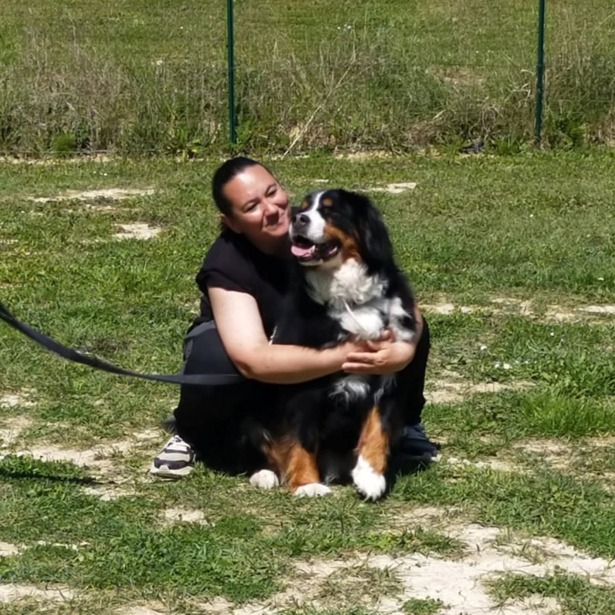 Rieducazione comportamentale — Doggielandia ASD, Spoltore