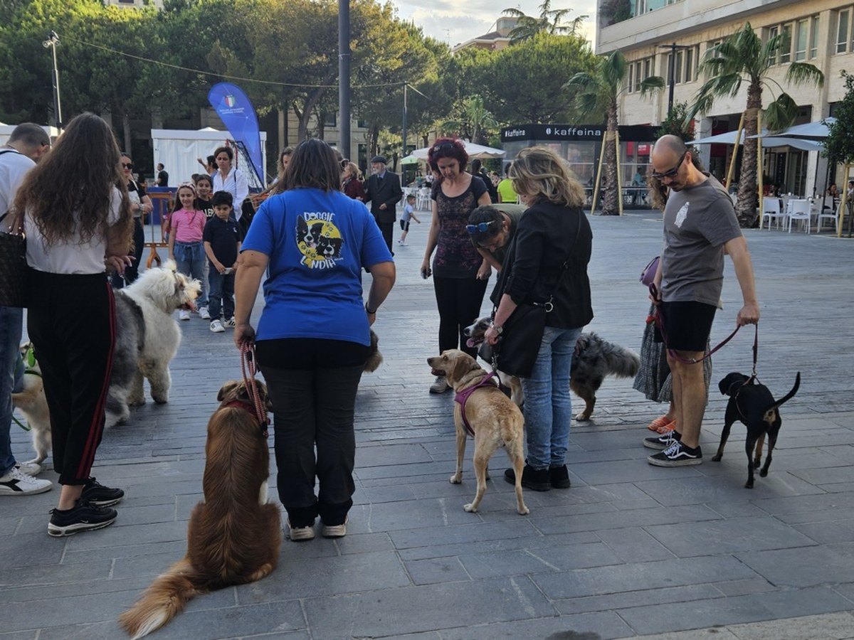 Lezione di gruppo in città — Doggielandia ASD, Spoltore