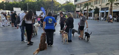 Lezione di gruppo in città — copertina