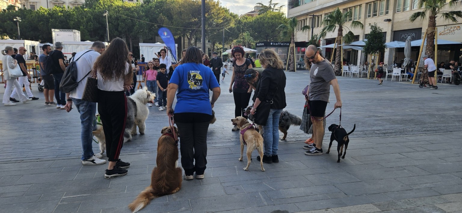 Lezione di gruppo in città con educatrice, proprietari e cani