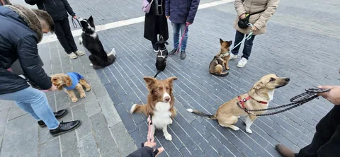 Lezione di gruppo in città — momento 4