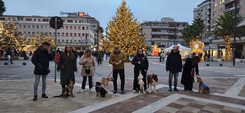 Lezione di gruppo in città — momento 5