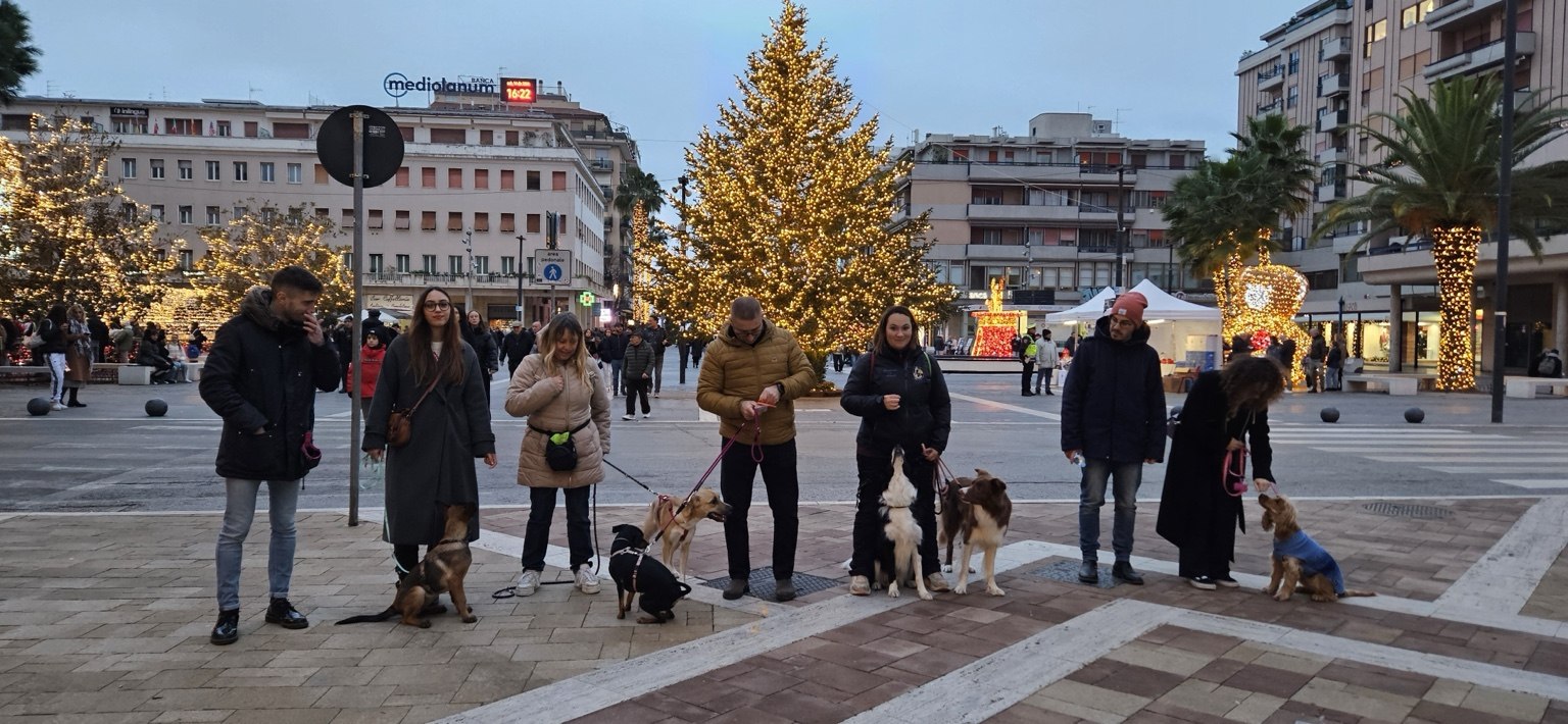 Lezione di gruppo con i cani tra le luci natalizie di Pescara