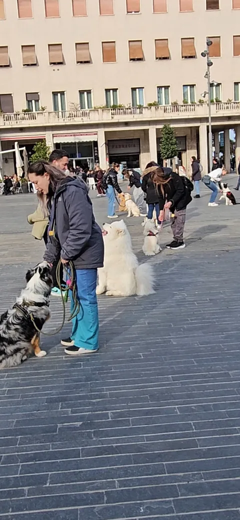 Lezione di gruppo in città — momento 6