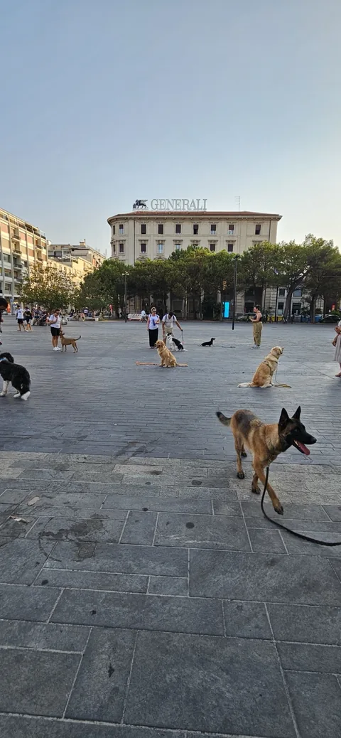 Lezione di gruppo in città — momento 7