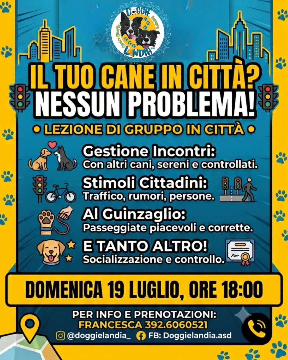 Lezione di gruppo in città — Doggielandia ASD, Spoltore