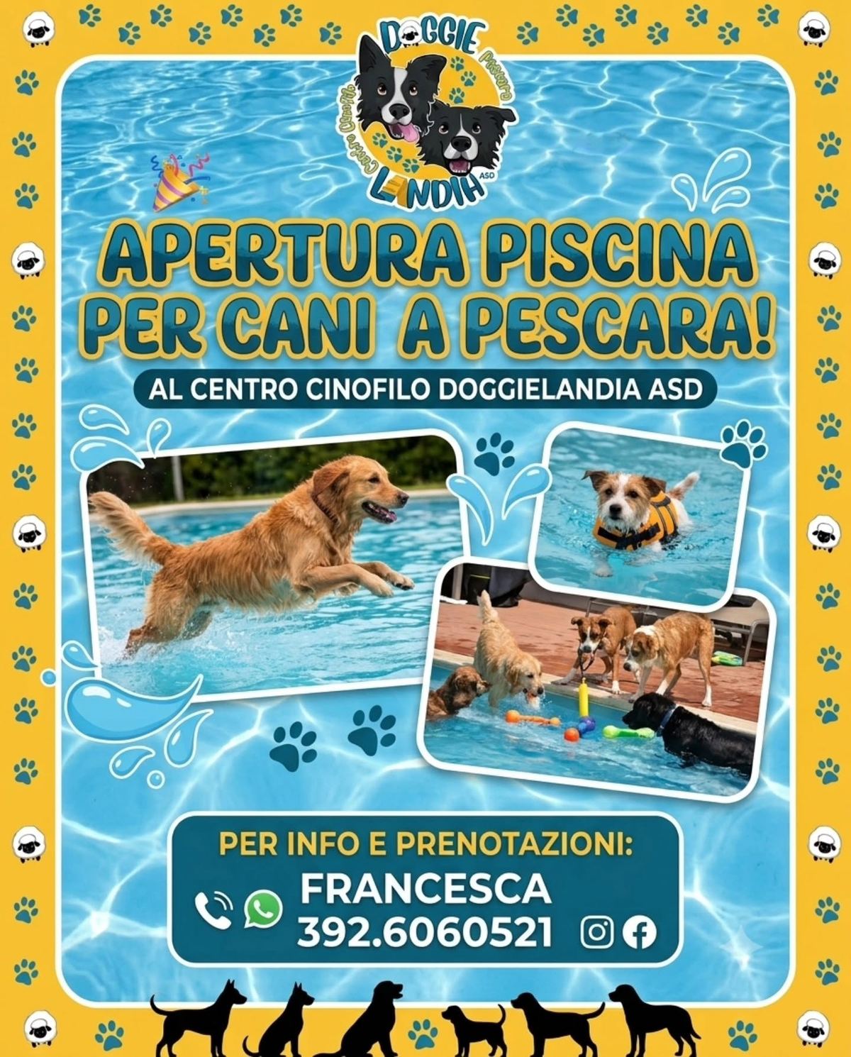 È la stagione dell'acqua — Doggielandia ASD