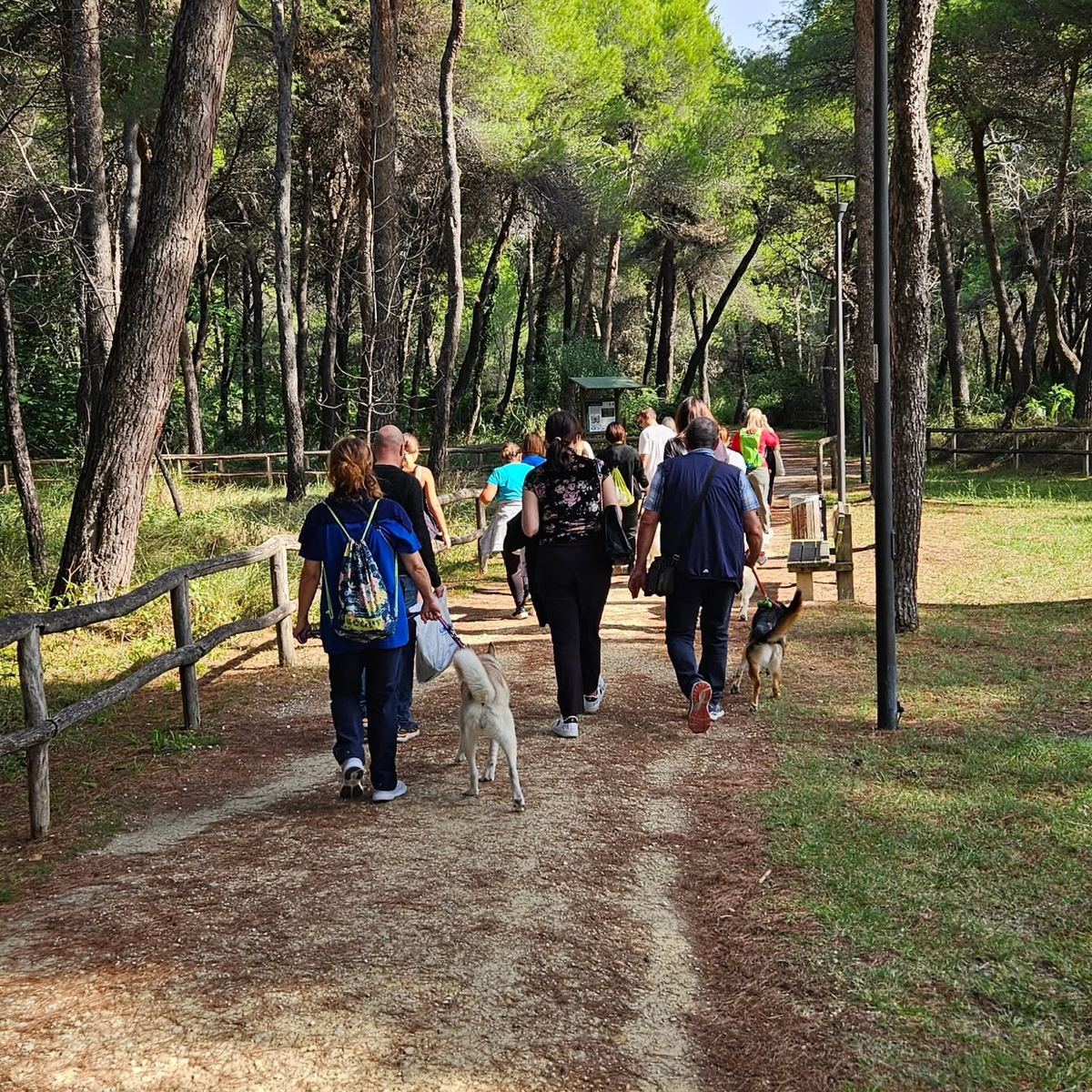 Passeggiate educative di gruppo — Doggielandia ASD, Spoltore