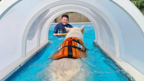 Piscina per cani — momento 4