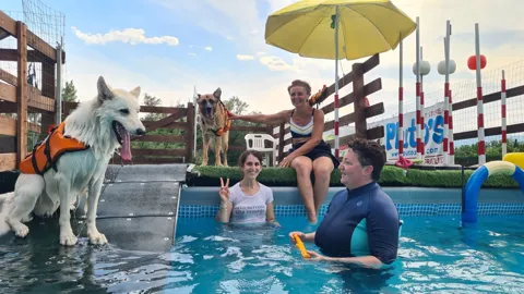 Piscina per cani — momento 5