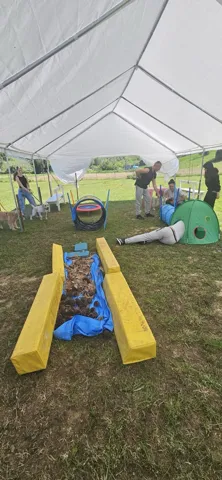 Puppy Class — momento 3