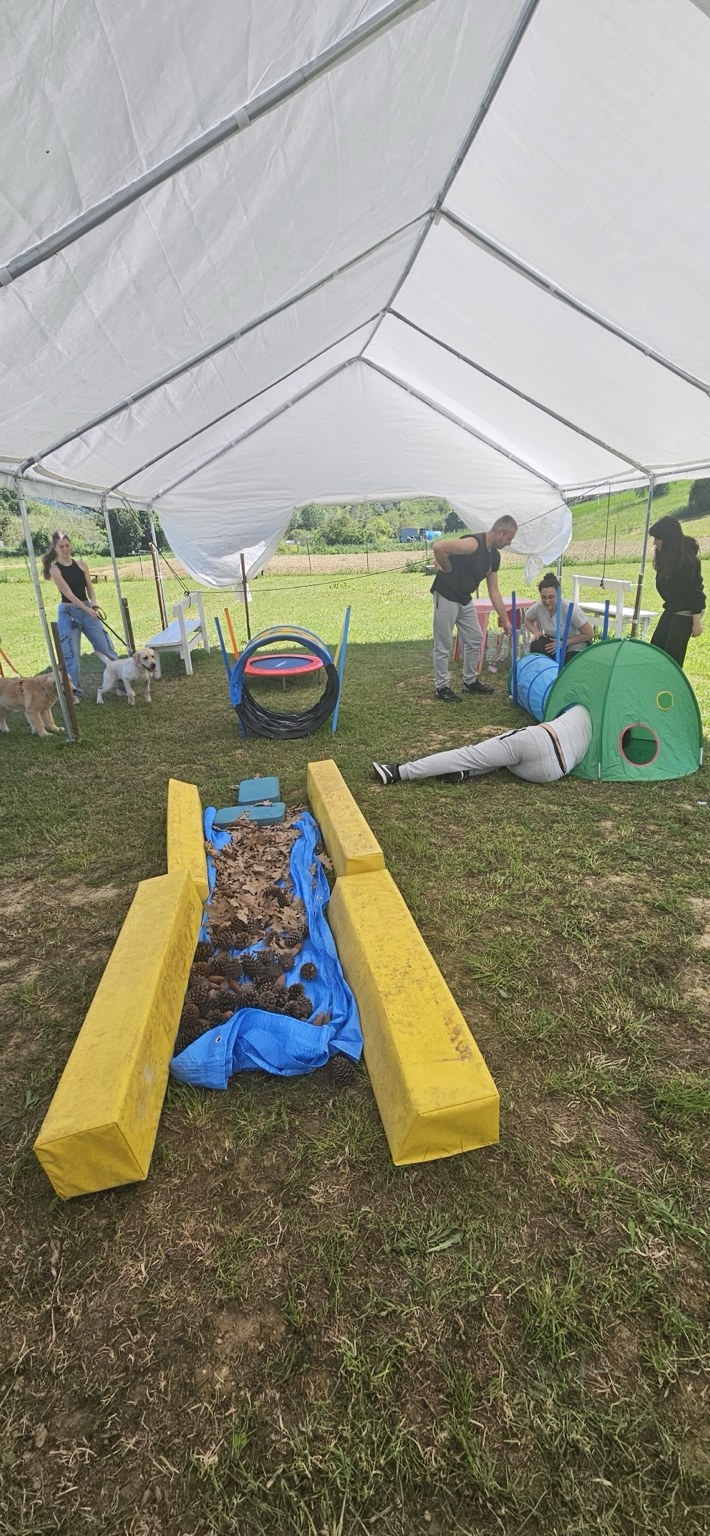 Percorso di esplorazione preparato per la Puppy Class