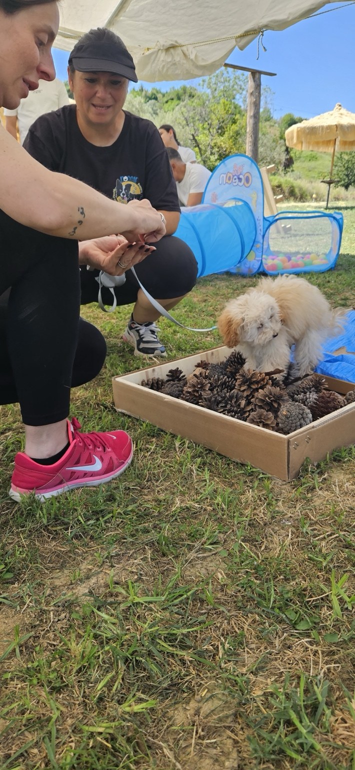 Cucciolo impegnato in un'attività sensoriale guidata