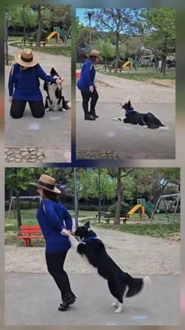 Dog Dance e Tricks — foto principale