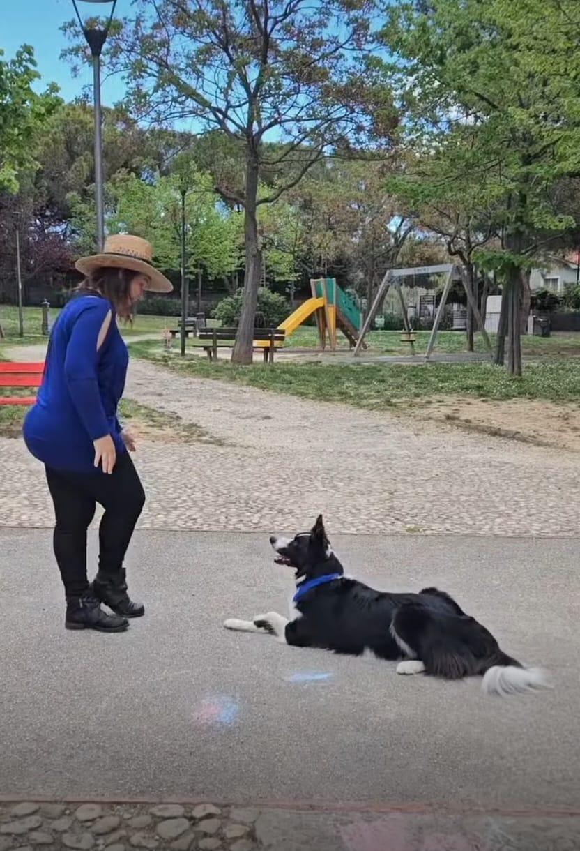 Dog Dance e Tricks — esercizi con il conduttore 2