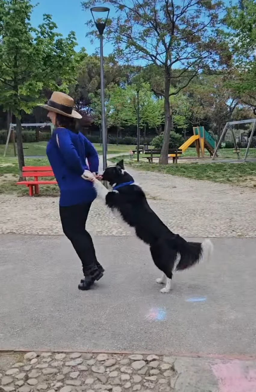Dog Dance e Tricks — esercizi con il conduttore 3