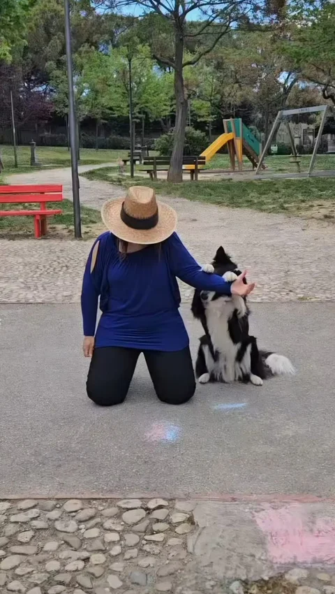 Dog Dance e Tricks — esercizi con il conduttore 4