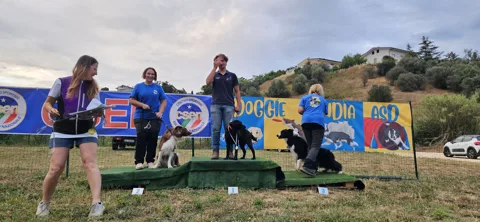 Insieme al campo Doggielandia