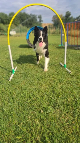 Hoopers CSEN — foto principale