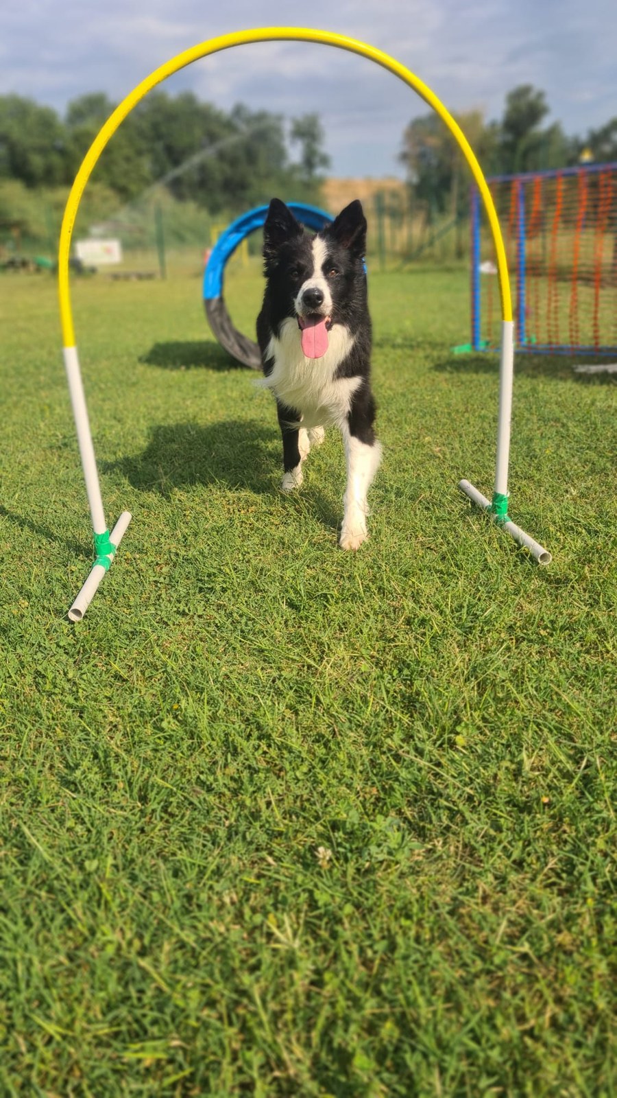 Hoopers CSEN — foto principale