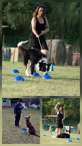 Nosework Sportivo CSEN — foto principale