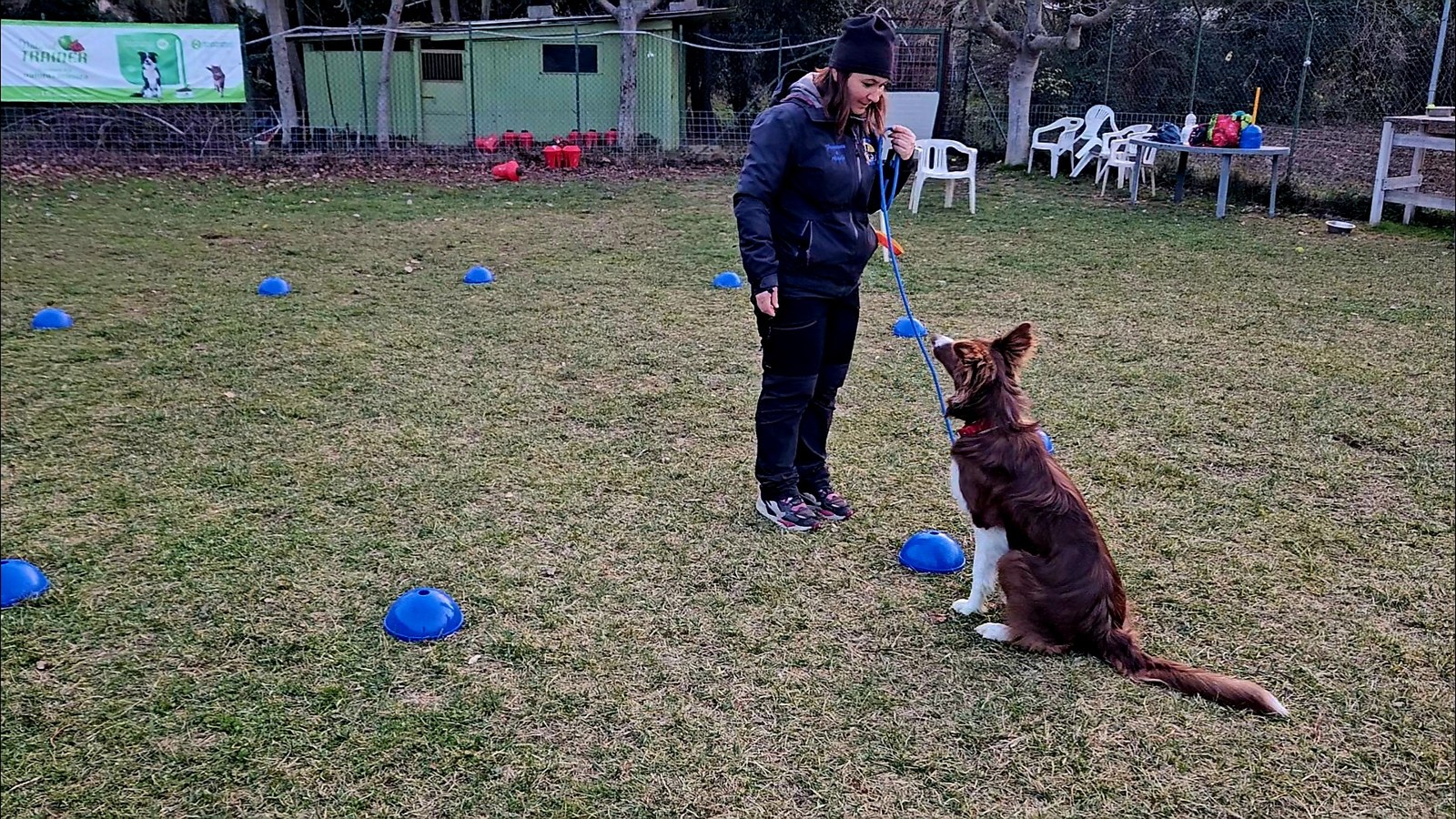 Nosework Sportivo CSEN — ricerca olfattiva con le coppette
