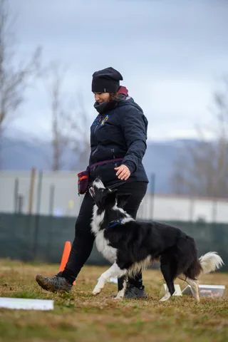 Rally Obedience CSEN — foto principale