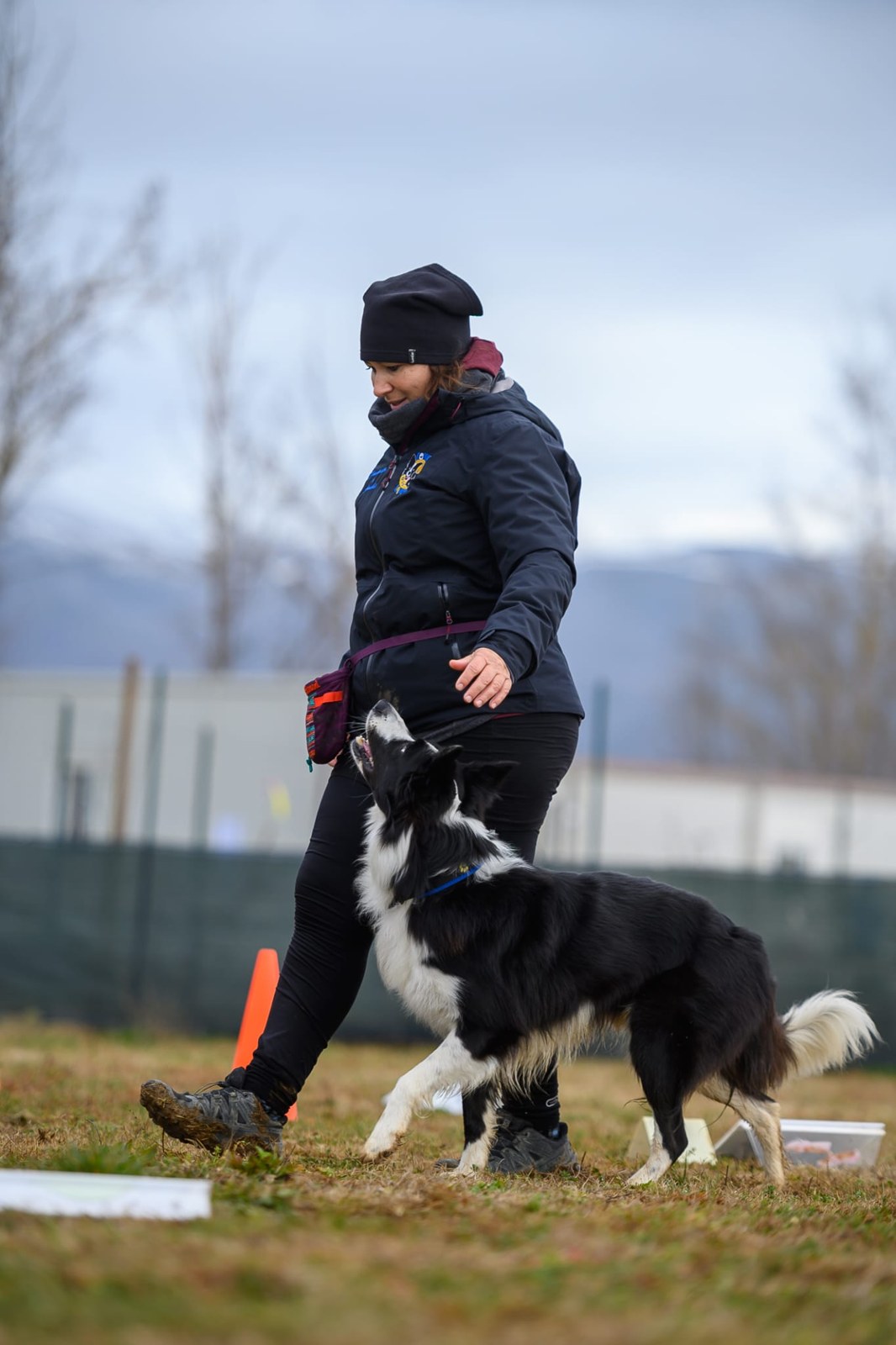 Rally Obedience CSEN — foto principale