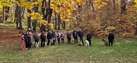 Trekking a 6 zampe — momento 2