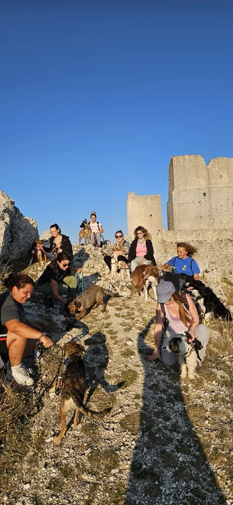 Trekking a 6 zampe — momento 4
