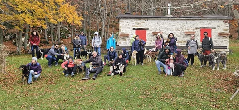 Trekking a 6 zampe — momento 5