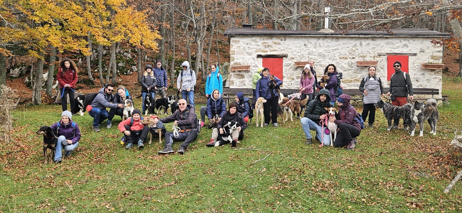 Foto di gruppo con i cani durante un trekking nel bosco