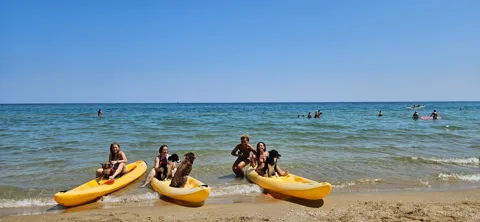 Esperienza estiva con cani e kayak al mare — Trekking a 6 zampe