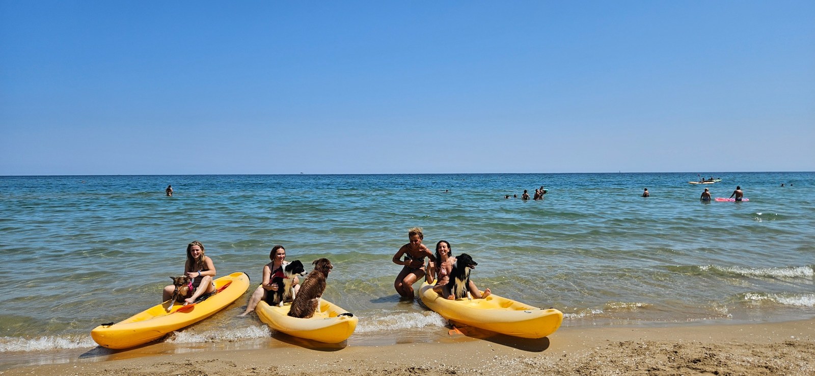 Esperienza estiva con cani e kayak al mare — Trekking a 6 zampe