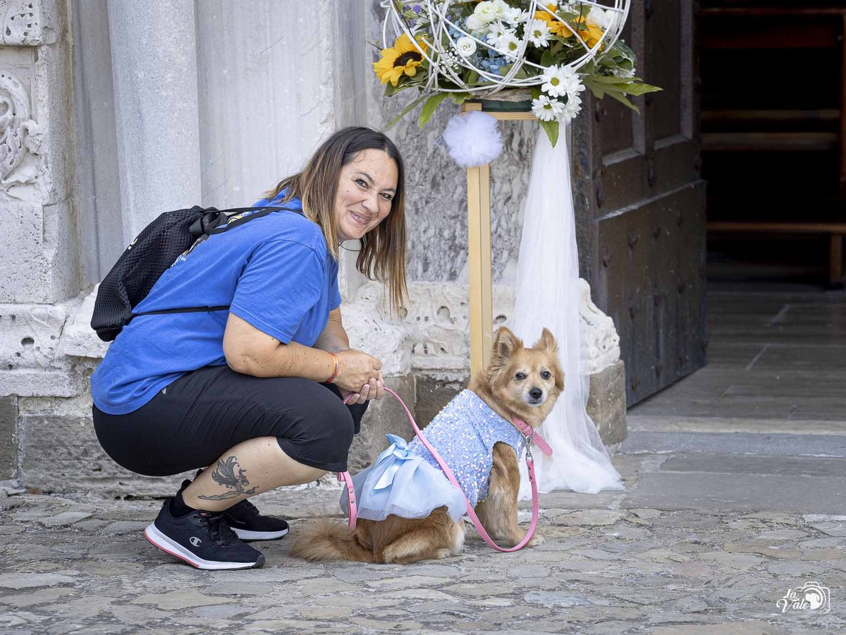 Wedding Dog Sitting — Doggielandia ASD, Spoltore