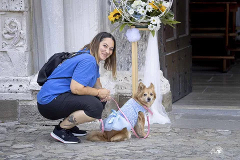 Wedding Dog Sitting — copertina