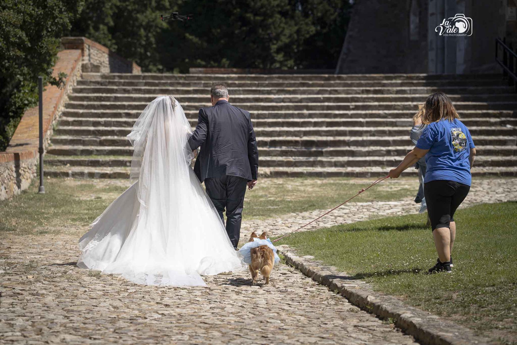 Wedding dog sitting durante l’ingresso degli sposi alla cerimonia